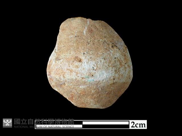 陶紡輪藏品圖，第1張