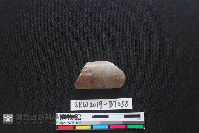 磨製骨器藏品圖，第1張