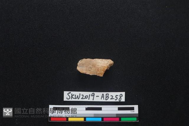 獸骨藏品圖，第1張