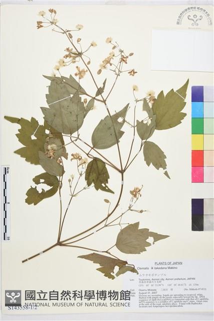 登錄號:S143558藏品圖，第1張