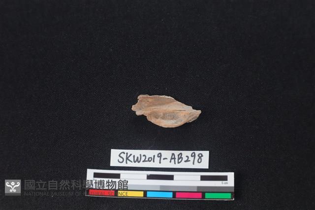 獸骨藏品圖，第1張