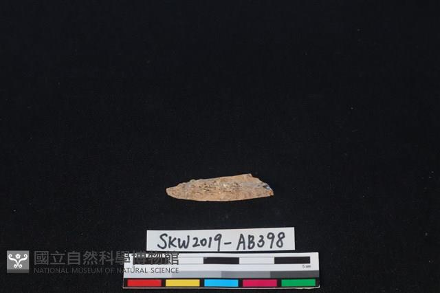 獸骨藏品圖，第1張