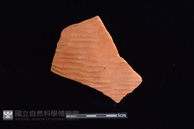 陶片藏品圖，第1張