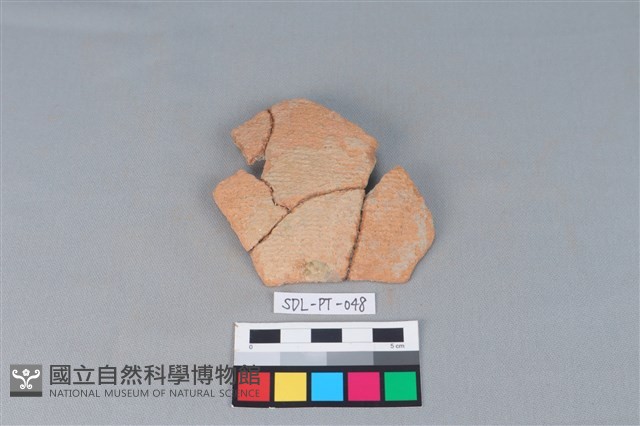 陶片藏品圖，第1張