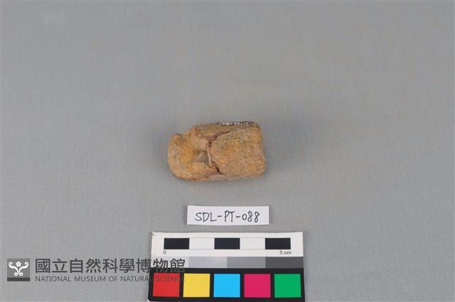 陶把藏品圖，第1張