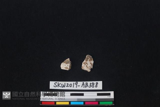 Accession Number:SKW2019-AB388 Collection Image, Figure 1, Total 2 Figures