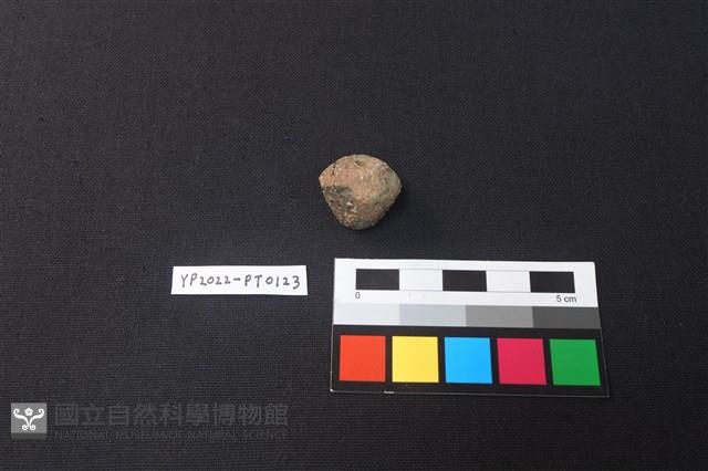 陶紡輪藏品圖，第1張