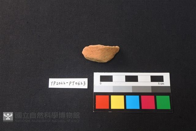 陶片藏品圖，第1張