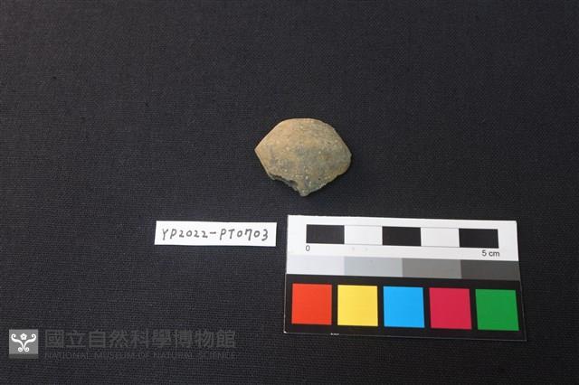 陶紡輪藏品圖，第1張