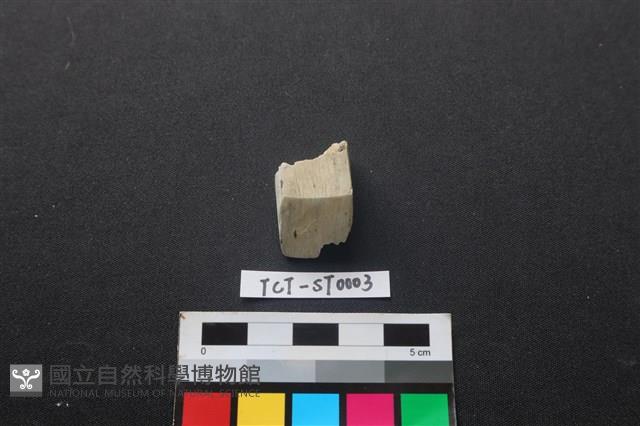 錛鑿形器藏品圖，第1張
