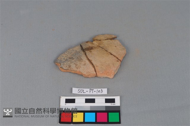 陶片藏品圖，第1張
