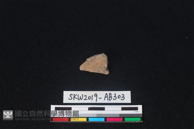 獸骨藏品圖，第1張