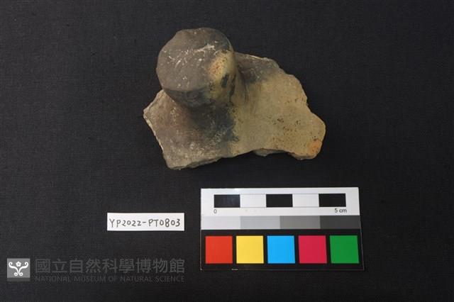 蓋鈕藏品圖，第1張