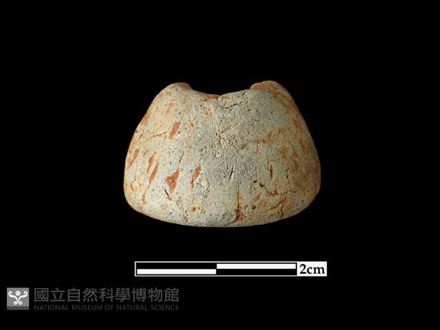 陶紡輪藏品圖，第1張