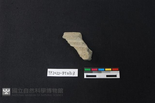 陶片藏品圖，第1張