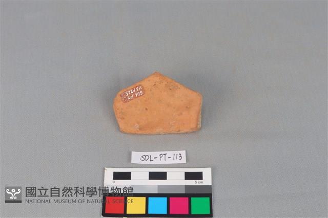 陶片藏品圖，第1張