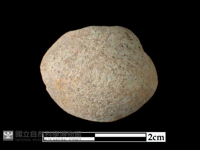 陶紡輪藏品圖，第1張