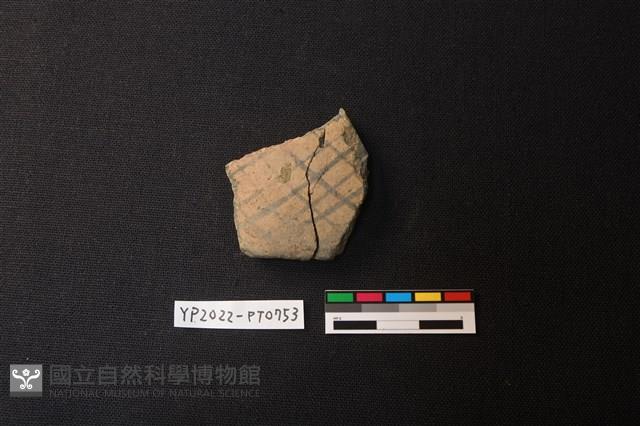陶片藏品圖，第1張