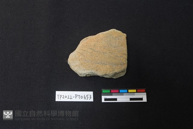 陶片藏品圖，第1張