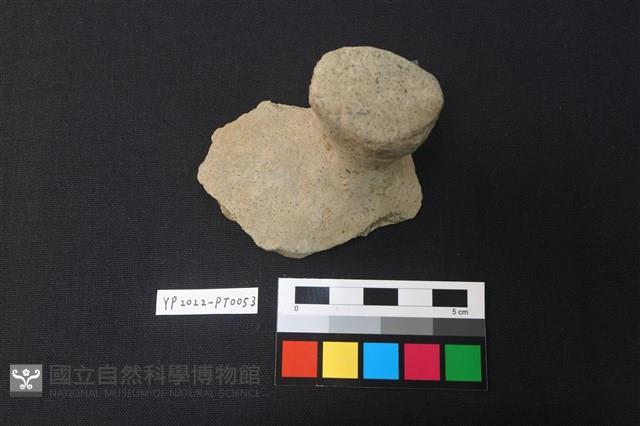 覆碗型陶蓋藏品圖，第1張