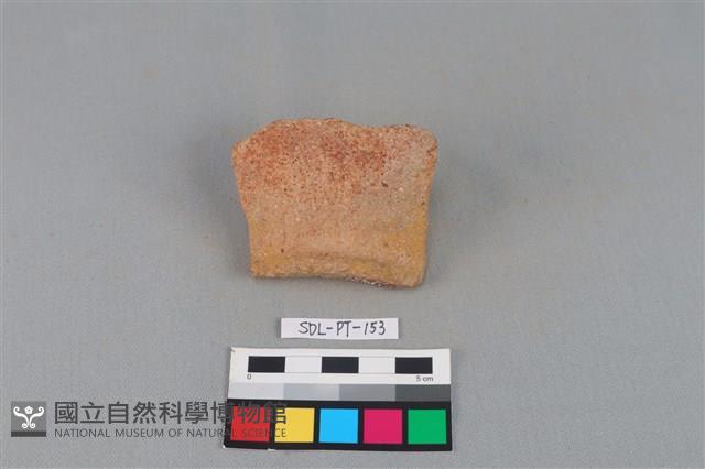 陶罐藏品圖，第1張