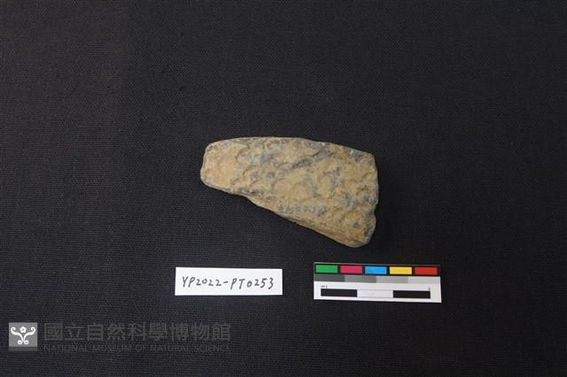 陶片藏品圖，第1張
