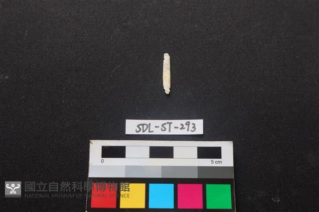 玉飾藏品圖，第1張
