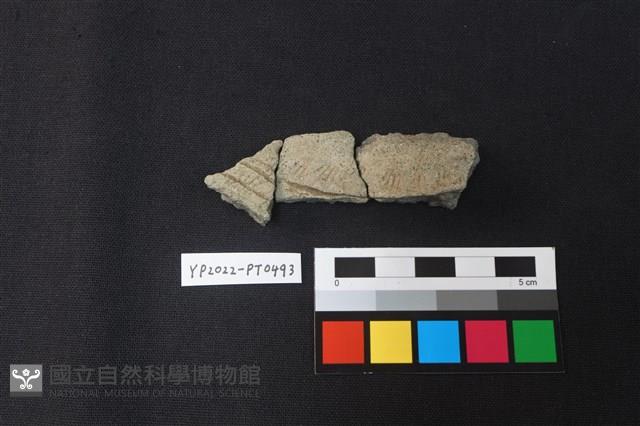 陶片藏品圖，第1張
