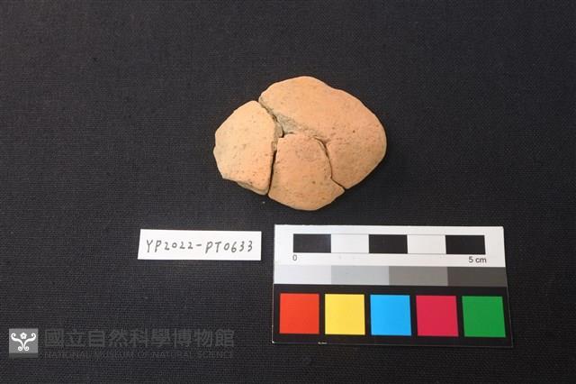 陶片藏品圖，第1張