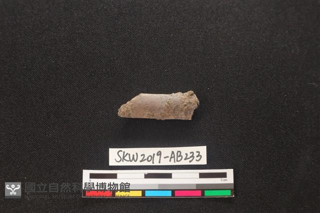 獸骨藏品圖，第1張