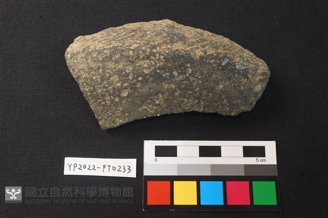 陶片藏品圖，第1張