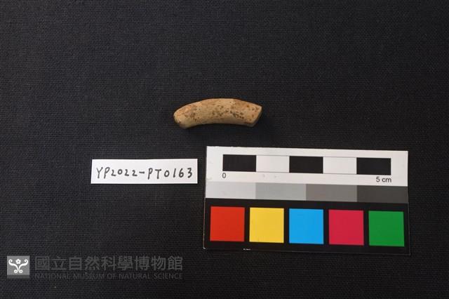 陶環藏品圖，第1張