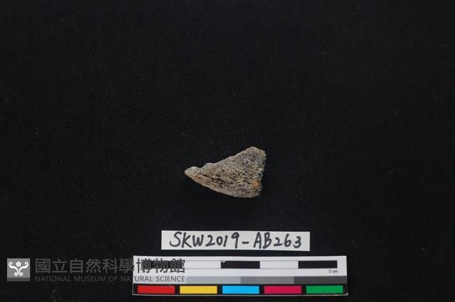 獸骨藏品圖，第1張