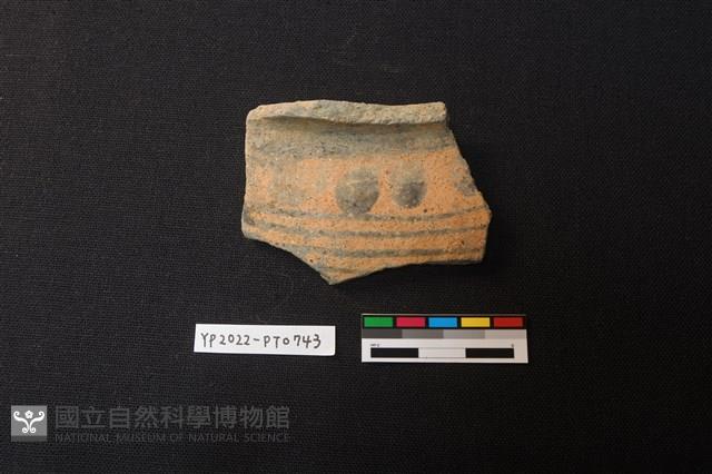 陶片藏品圖，第1張