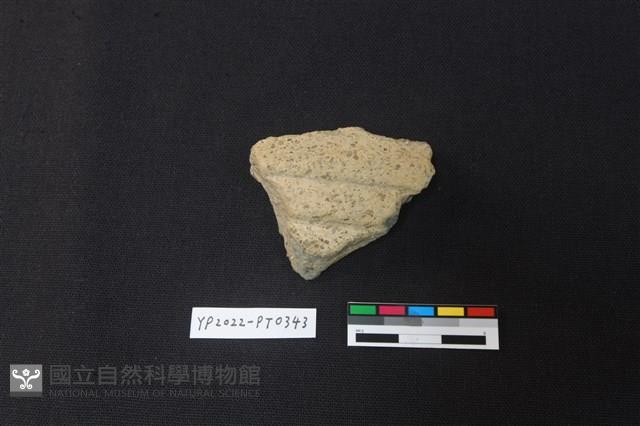 陶片藏品圖，第1張