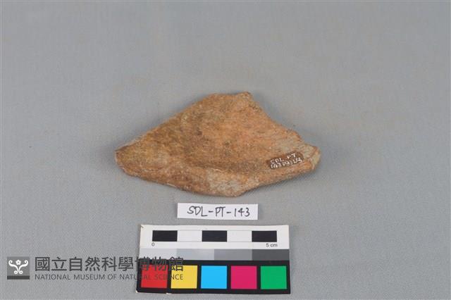 陶罐藏品圖，第1張