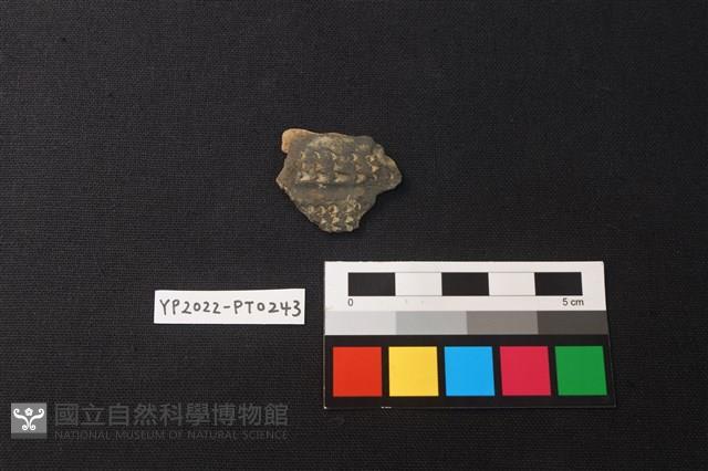 陶片藏品圖，第1張
