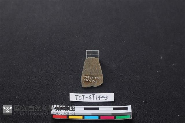 矛鏃形器藏品圖，第1張