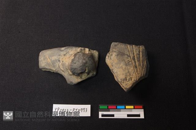 陶片藏品圖，第1張