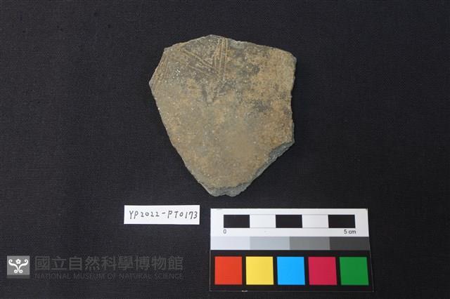 陶片藏品圖，第1張