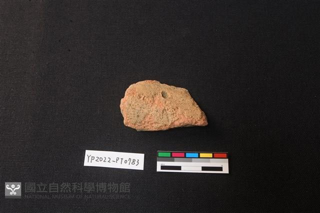 陶片藏品圖，第1張