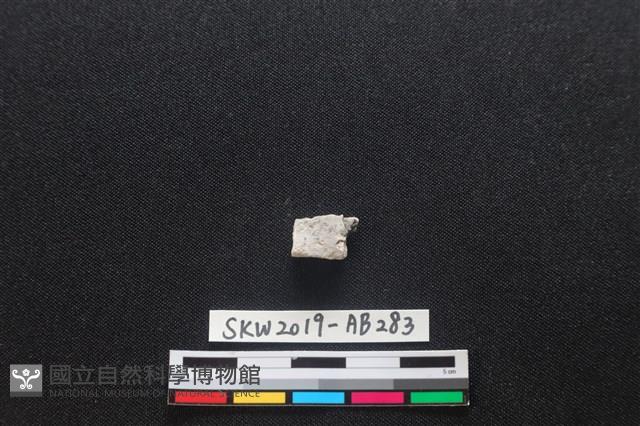 獸骨藏品圖，第1張