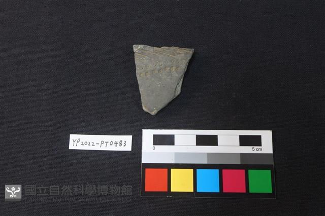 陶片藏品圖，第1張