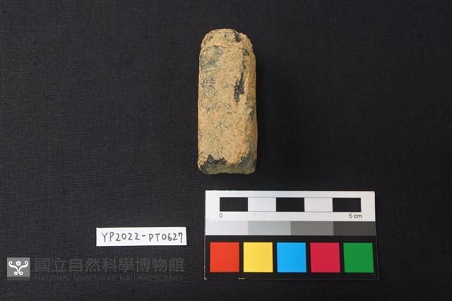 陶網墜藏品圖，第1張