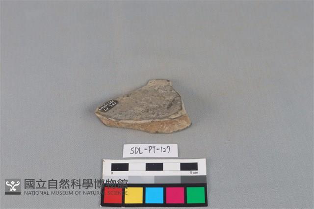 陶罐藏品圖，第1張