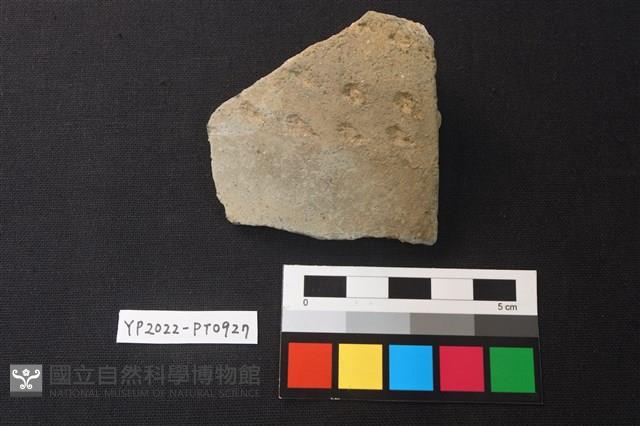 陶片藏品圖，第1張