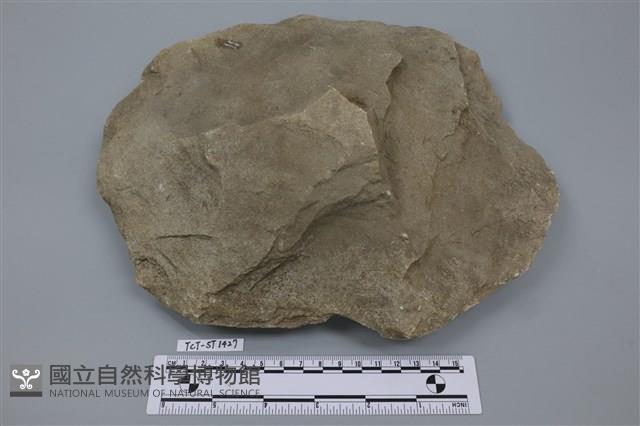石核藏品圖，第1張