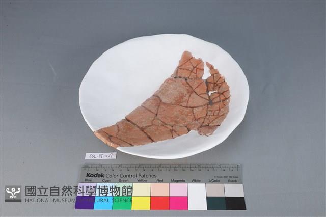 豆形器藏品圖，第1張