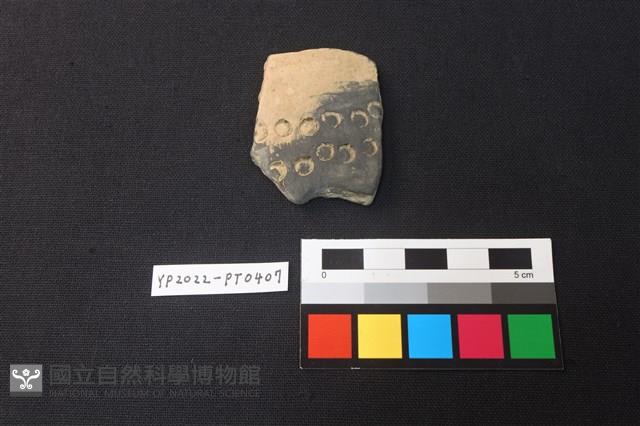 陶片藏品圖，第1張