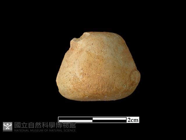 陶紡輪藏品圖，第1張